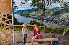 Traumpfädchen bietet die besten Spazierwanderungen an Rhein, Mosel und in der Eifel an. Hier Kleiner Stern-Weinsicht am Mittelrhein. (Foto: tourtipp.net/Remet)