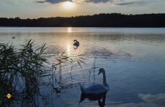 Abendstimmung an der Mecklenburger Seenplatte. (Foto: rent easy / Pixbay)
