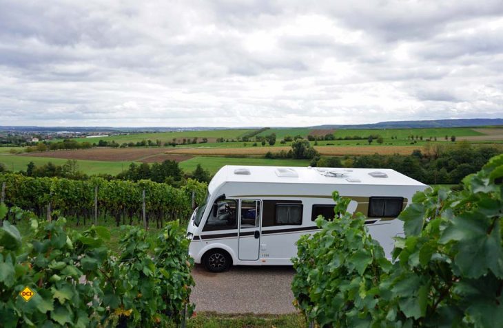 Das Reiseziel Kraichgau zieht sich als wunderschönes Weinanbaugebiet mitten durch Baden-Württemberg, vorbei an Sinsheim, Heilbronn und Pforzheim. (Foto: Carado)