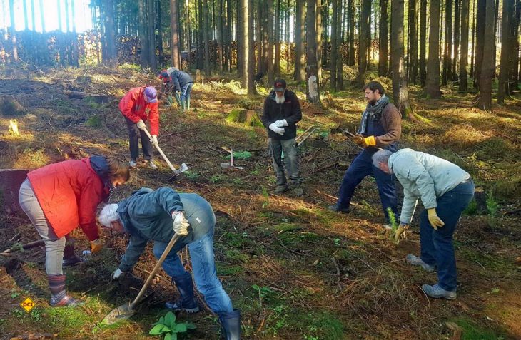 Tolle Aktion mit Vorbildcharakter: Mitglieder von Wohnmobil für Klimaschutz pflanzen eigenhändig 200 Douglasien im Harz. (Foto: Wohnmobil für Klimaschutz)